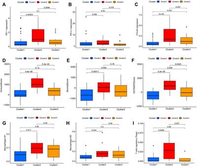 A Novel Ras--Related Signature Improves Prognostic Capacity in Oesophageal Squamous Cell Carcinoma